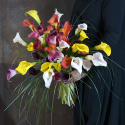 Similar image 22059910