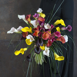 Similar image 22059911