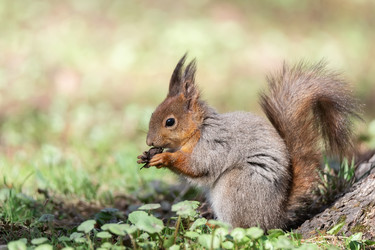 Similar image 22060417