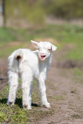 Similar image 22060418