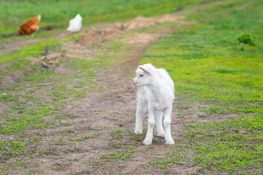 Similar image 22060419