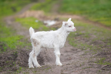 Similar image 22060423