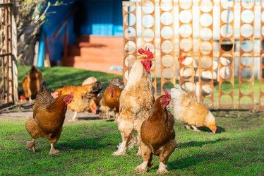 Similar image 22060424