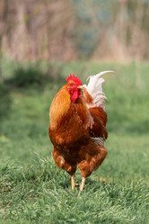 Similar image 22060427