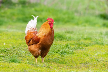 Similar image 22060802