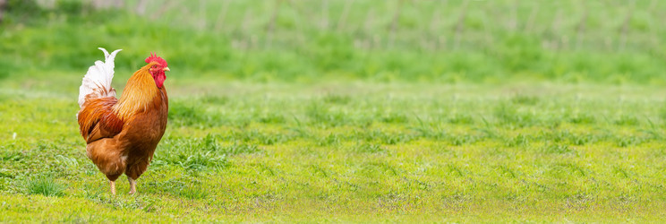 Similar image 22060804