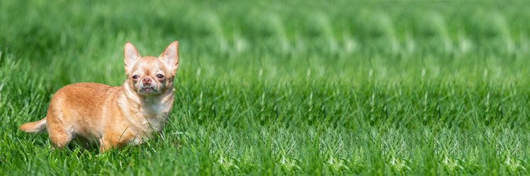 Similar image 22060808