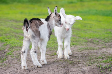 Similar image 22060812