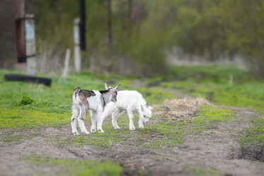 Similar image 22060818