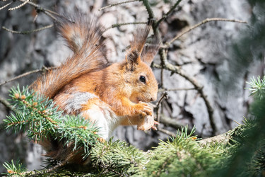 Similar image 22060824