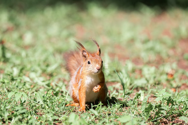 Similar image 22060826