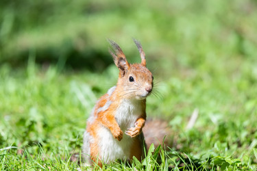 Similar image 22060833