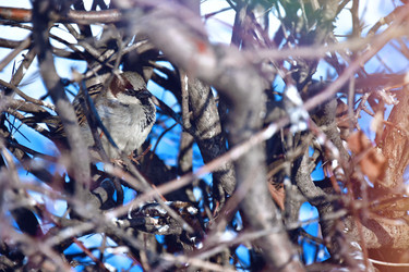 Similar image 22068561