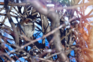 Similar image 22068562