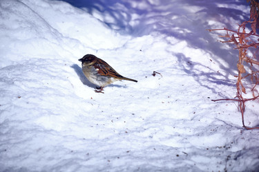 Similar image 22068563