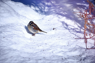 Similar image 22068564