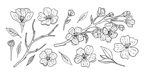 Similar image 22059106