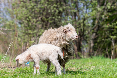 Similar image 22060835