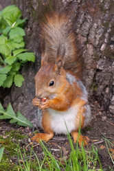 Similar image 22060836