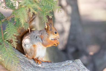 Similar image 22060837