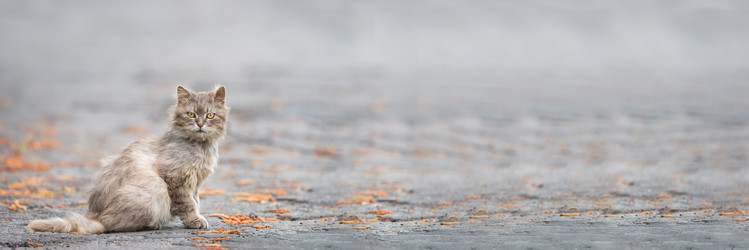 Similar image 22060990