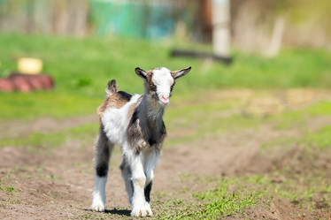 Similar image 22060992