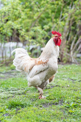 Similar image 22060994