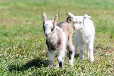 Similar image 22060995