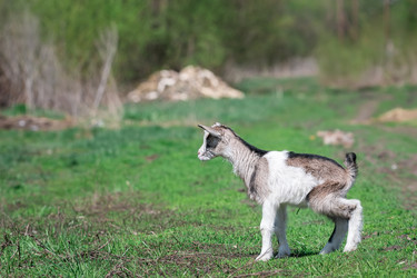 Similar image 22060996