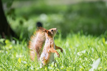 Similar image 22061000