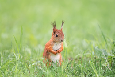 Similar image 22061202