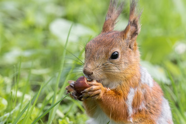 Similar image 22061203