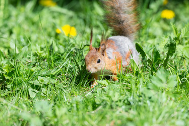 Similar image 22061207