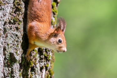 Similar image 22061211