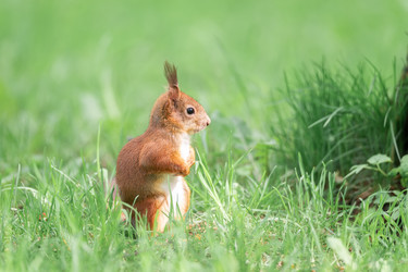 Similar image 22061212