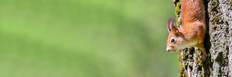 Similar image 22061213