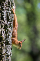 Similar image 22061216