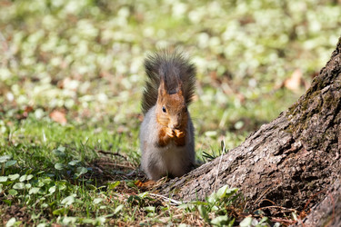 Similar image 22061221