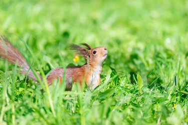 Similar image 22061222