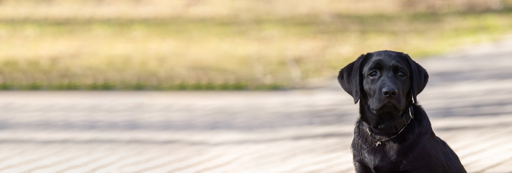 Similar image 22061223