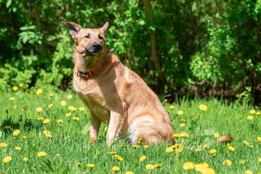 Similar image 22060842