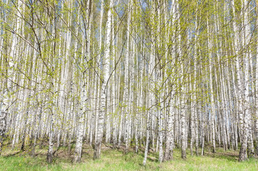 Similar image 22060843