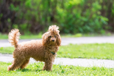 Similar image 22060845