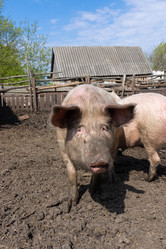 Similar image 22060848