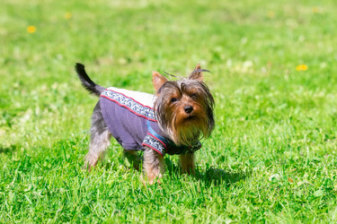 Similar image 22061013