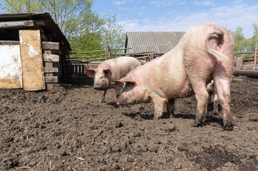 Similar image 22061020