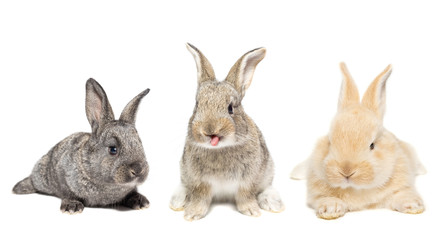 Similar image 22061022