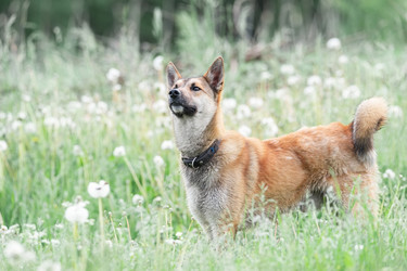 Similar image 22061026