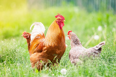 Similar image 22061031