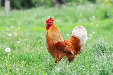 Similar image 22061225